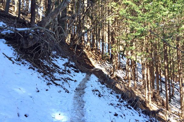 雲取山4(2014.1.24_25)_a0207672_21460247.jpg