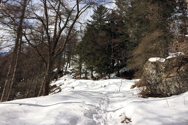 雲取山4(2014.1.24_25)_a0207672_21462923.jpg