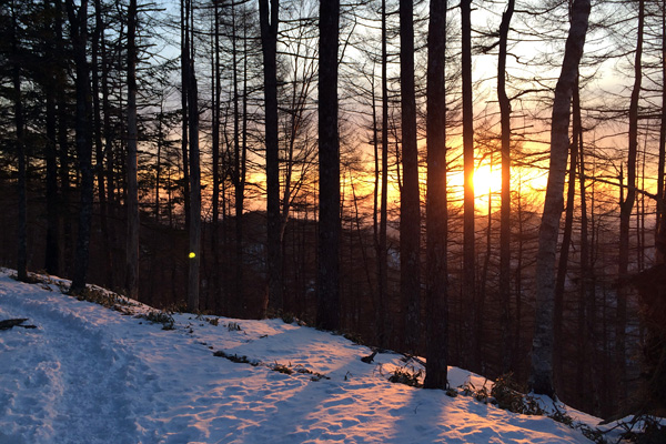 雲取山4(2014.1.24_25)_a0207672_21481655.jpg