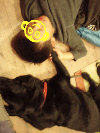 f0045872_23582785.gif