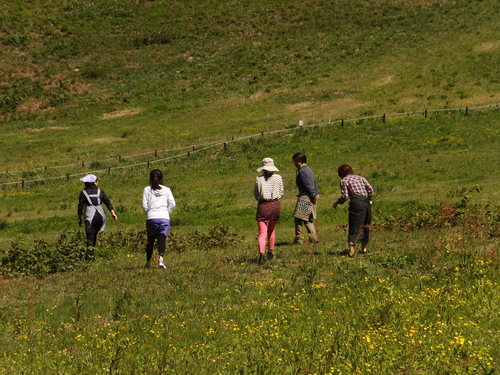 中宮ログハウスで山菜ピザづくり_c0022275_9155145.jpg