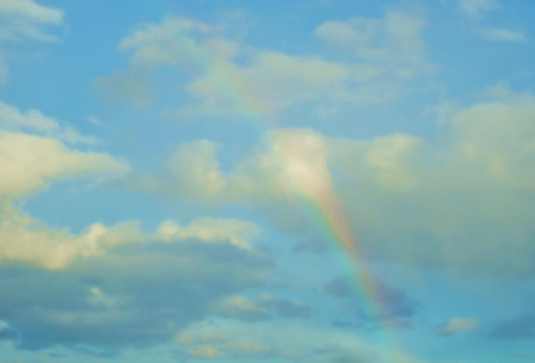 c0267475_18123675.jpg