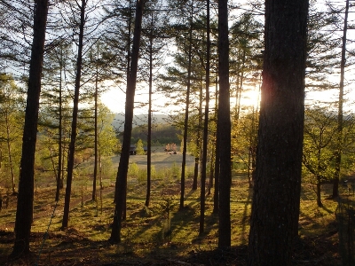 f0223480_22423431.jpg