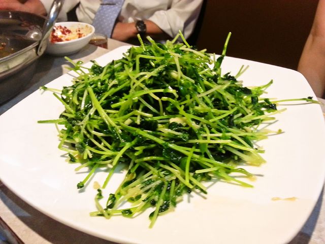 a0182281_17535996.jpg