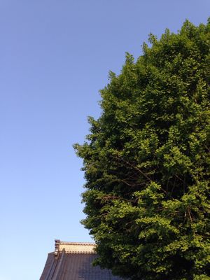 c0156981_2344832.jpg