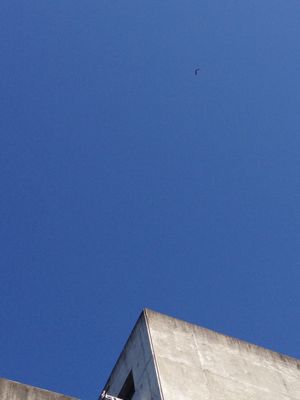 c0156981_2345196.jpg