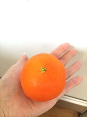 5月19日の給食_c0293682_1658152.jpg