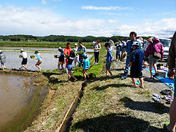 目黒角田絆交流~田植え体験~_d0247484_14152939.jpg