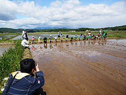 目黒角田絆交流~田植え体験~_d0247484_1416780.jpg