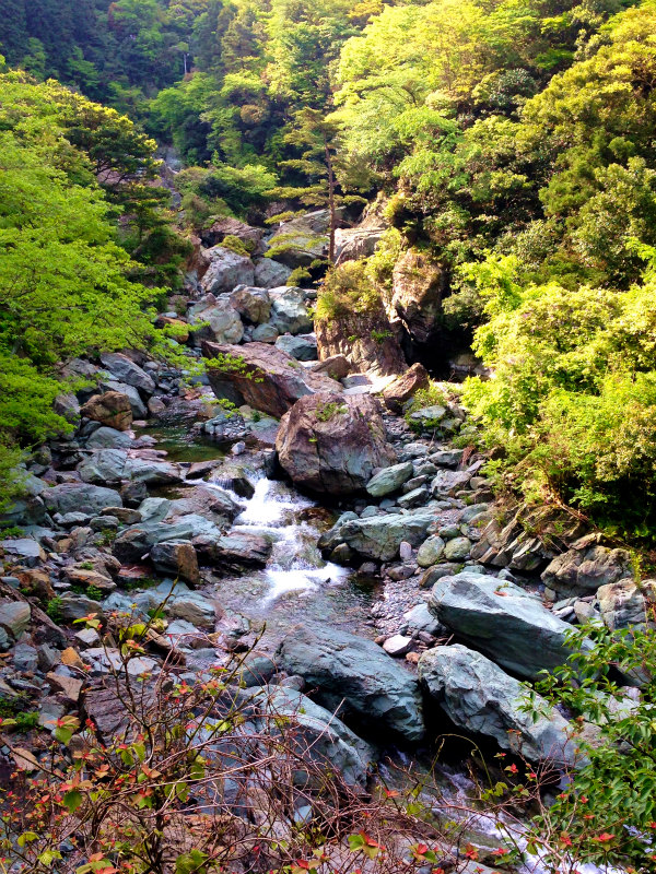 愛媛県　石鎚ロングトレイル Fast Packing Day.1　2014/05/08-10 _b0220886_17542092.jpg