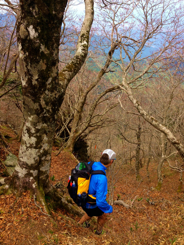 愛媛県　石鎚ロングトレイル Fast Packing Day.1　2014/05/08-10 _b0220886_1822269.jpg