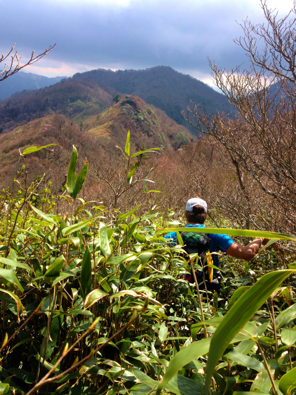 愛媛県　石鎚ロングトレイル Fast Packing Day.1　2014/05/08-10 _b0220886_18265426.jpg