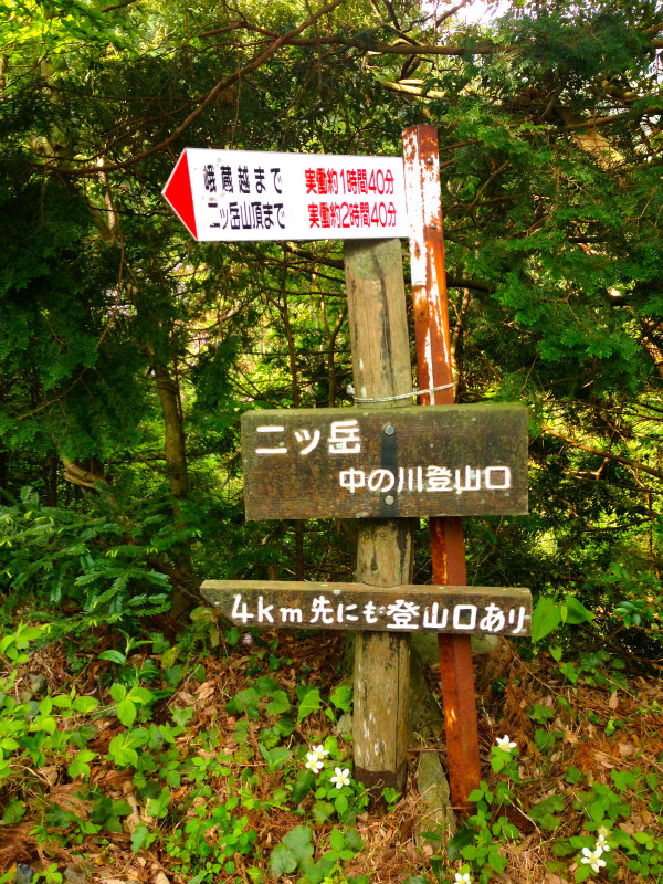 愛媛県　石鎚ロングトレイル Fast Packing Day.1　2014/05/08-10 _b0220886_1841852.jpg