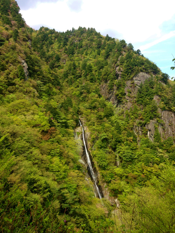 愛媛県 石鎚ロングトレイル Fast Packing Day.1 2014/05/08-10 _b0220886_1852693.jpg