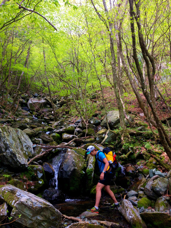 愛媛県 石鎚ロングトレイル Fast Packing Day.1 2014/05/08-10 _b0220886_1853718.jpg