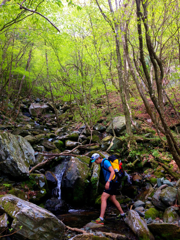 愛媛県　石鎚ロングトレイル Fast Packing Day.1　2014/05/08-10 _b0220886_1853718.jpg