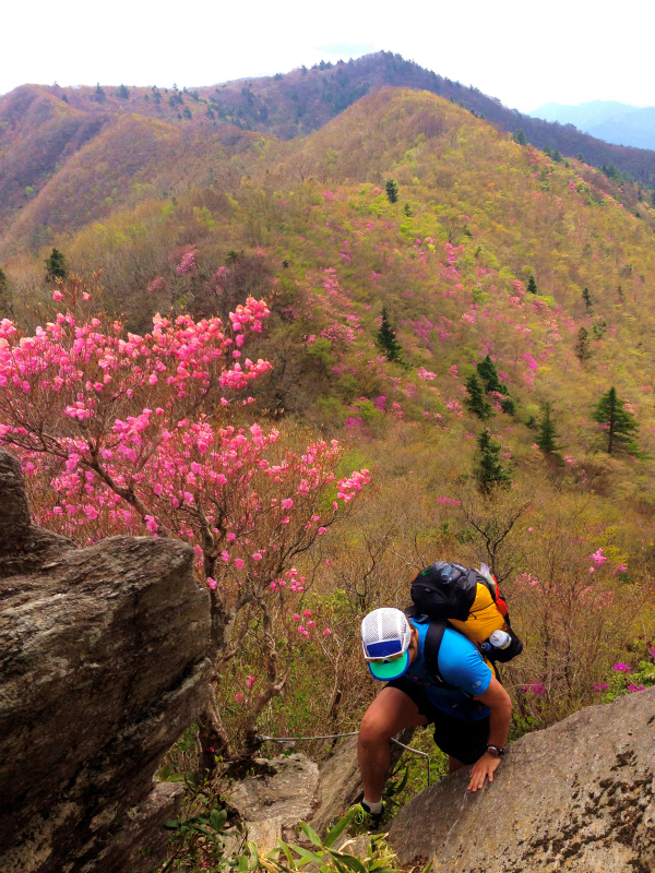 愛媛県　石鎚ロングトレイル Fast Packing Day.1　2014/05/08-10 _b0220886_1865546.jpg