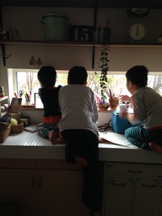 改名_b0198696_22584396.jpg