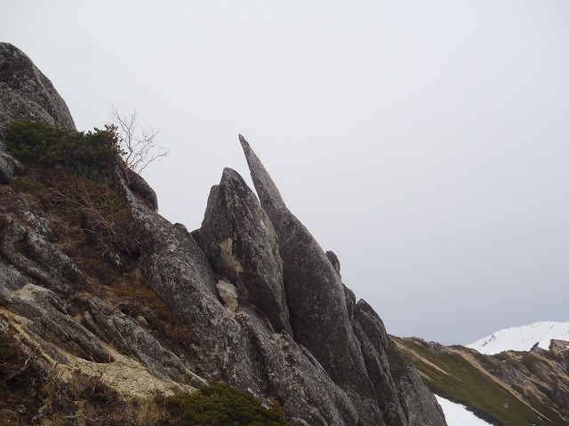 燕岳ハイク 2014.5.14~15 (後半)_c0147398_1841521.jpg