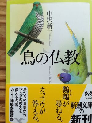 『鳥の仏教』中沢新一著_e0055098_1037570.jpg