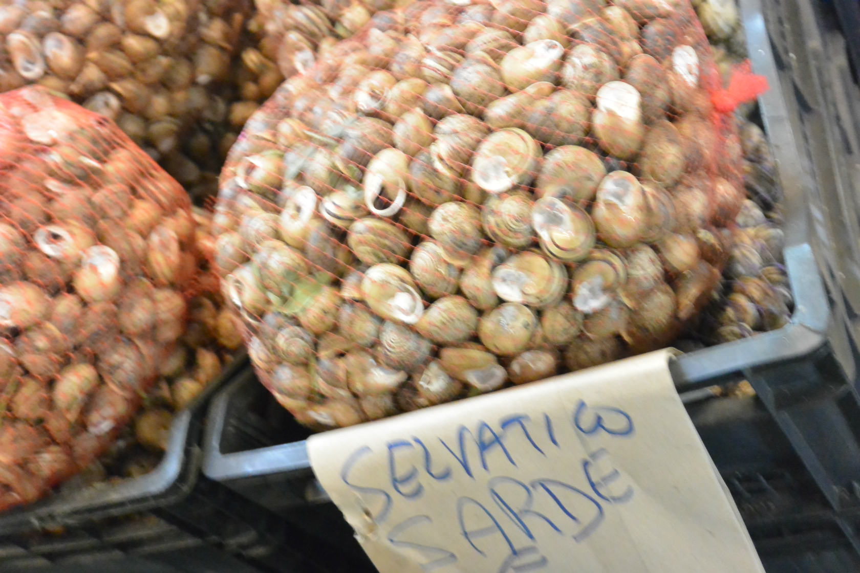 14年5月 イタリア出張記 その22 カリアリ サンベネディット市場へ 肉 野菜 チーズ編 Thoma News 登馬商事ブログ ニュース 14年5月 イタリア出張記 その22 カリアリ サンベネディット市場へ 肉 野菜 チーズ編 Thoma News 登馬商事ブログ ニュース