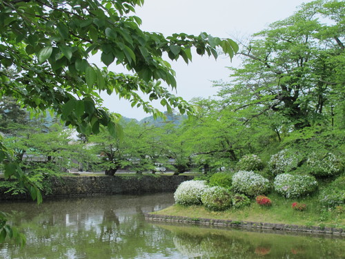 春爛漫：つつじが見頃になり、空は五月晴れ　5月20日（９）_c0075701_21184762.jpg