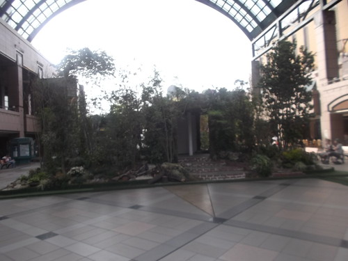 f0076001_033548.jpg