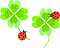f0242002_19222133.gif