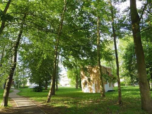 e0123104_69113.jpg