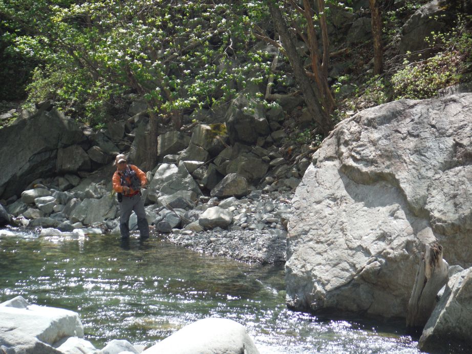b0172805_08032790.jpg