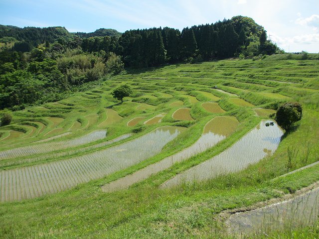d0224712_127166.jpg