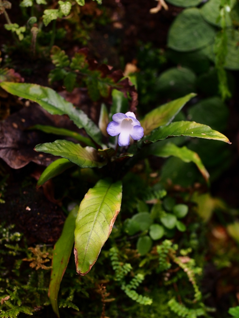 c0156313_1334967.jpg