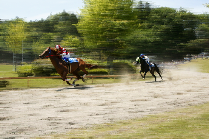 草競馬_b0284519_2145186.jpg