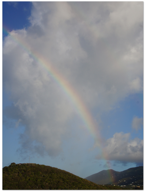 東カリブ海クルーズ(15) _d0210324_5342616.jpg