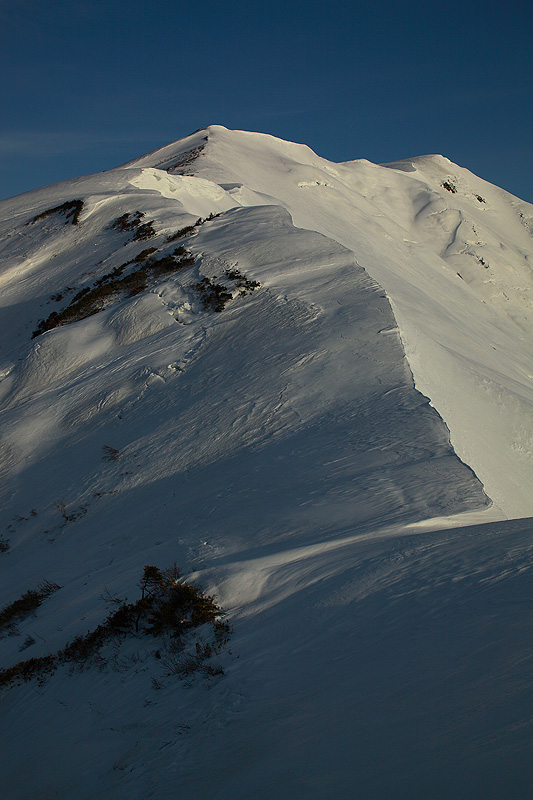 c0313231_16575597.jpg