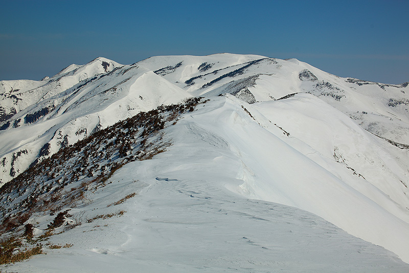 c0313231_17102456.jpg