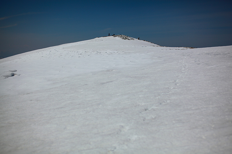 c0313231_17152261.jpg