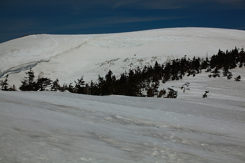 c0313231_1715445.jpg