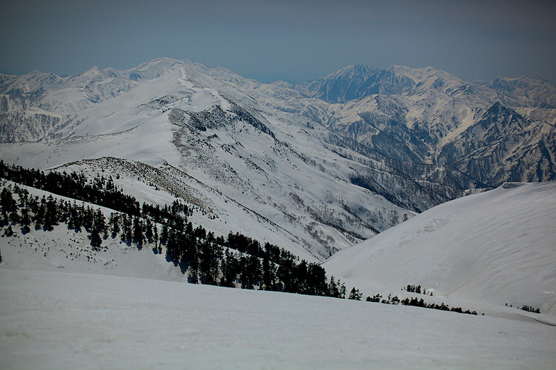 c0313231_17155182.jpg