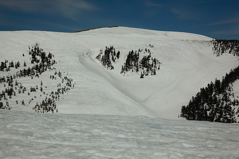 c0313231_17194718.jpg