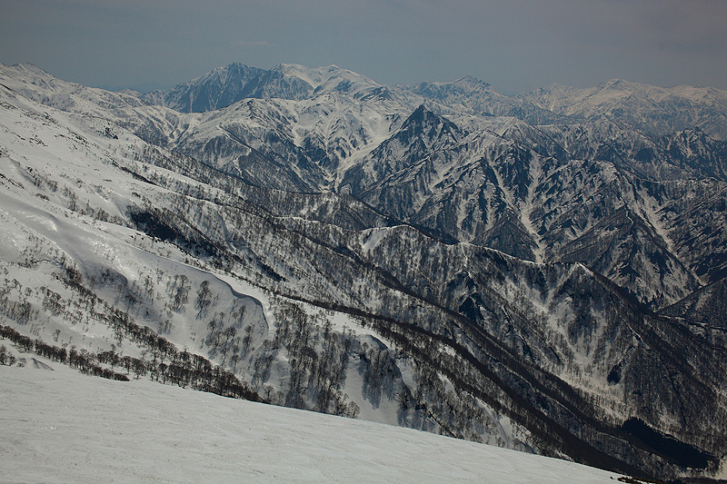 c0313231_1720314.jpg