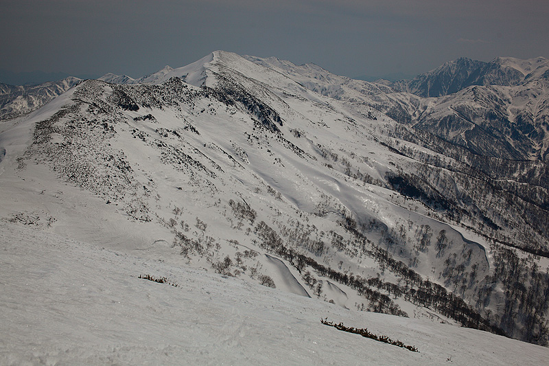 c0313231_1720940.jpg