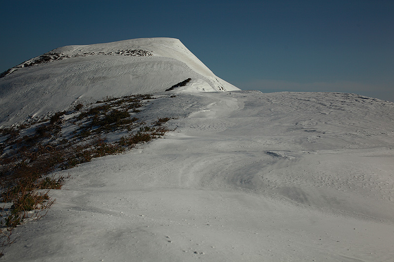 c0313231_1731857.jpg