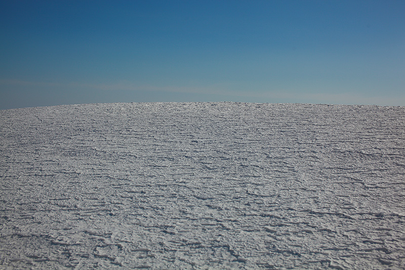 c0313231_17547.jpg