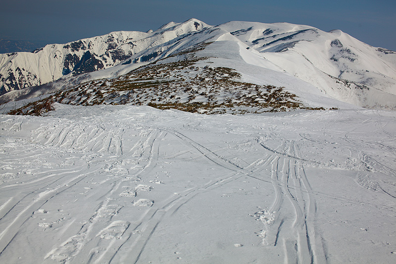 c0313231_1763517.jpg