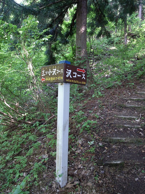 トレッキング2014　その5／八石山（下八石山）_e0031346_16124843.jpg