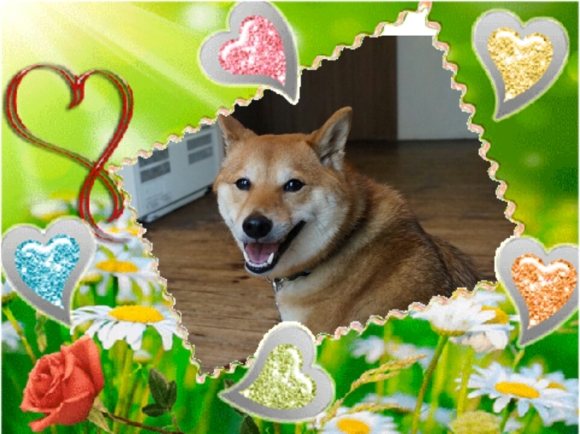c0245751_14493871.png