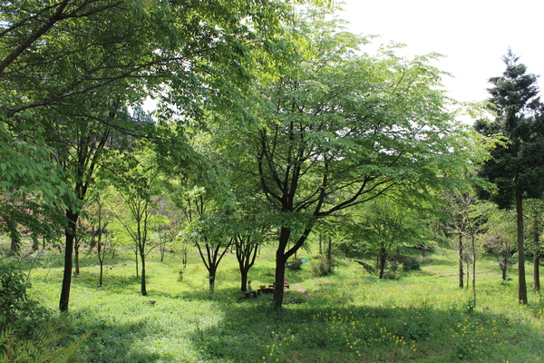 a0174458_02242.jpg