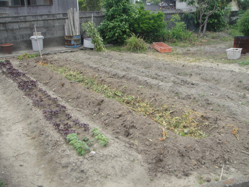 c0108460_17160185.jpg