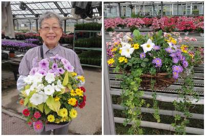 花農家の展覧会が開催されます 愛媛県職員ブログ